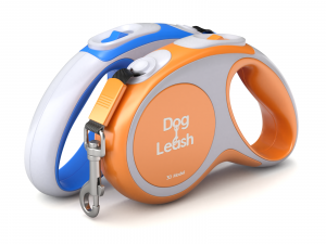 Dog Leash with Dog Collar 3D Model