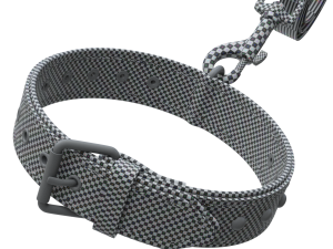 Dog Leash with Dog Collar 3D Model
