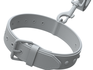 Dog Leash with Dog Collar 3D Model