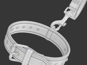 Dog Leash with Dog Collar 3D Model