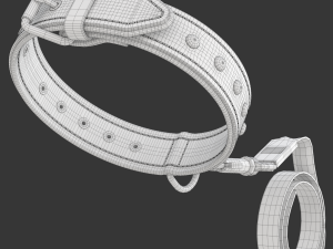 Dog Leash with Dog Collar 3D Model