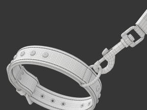 Dog Leash with Dog Collar 3D Model