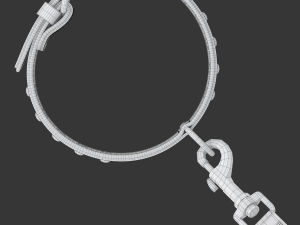 Dog Leash with Dog Collar 3D Model