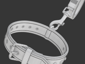 Dog Leash with Dog Collar 3D Model