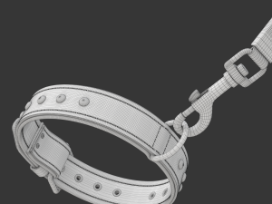 Dog Leash with Dog Collar 3D Model