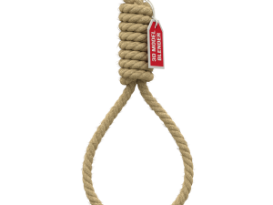 Noose 3D-Modell