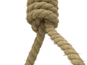 Noose 3D Model
