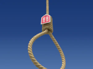 Noose 3D Model