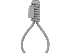 Noose 3D-Modell