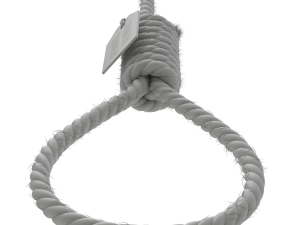 Noose 3D-Modell