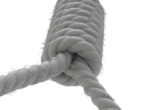 Noose 3D-Modell