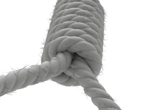 Noose 3D Model