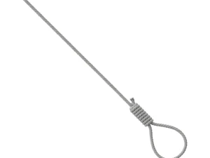 Noose 3D Model