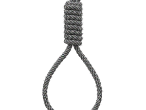 Noose 3D-Modell