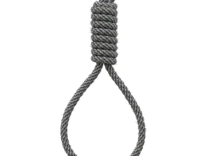 Noose 3D Model