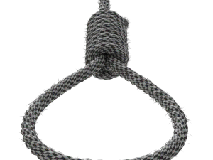 Noose 3D-Modell