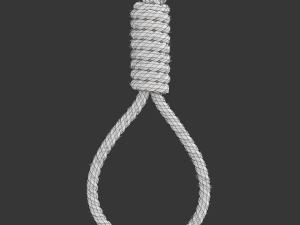 Noose 3D-Modell