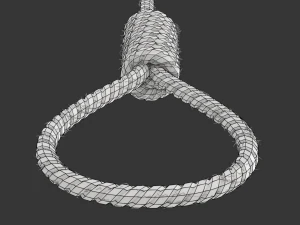 Noose 3D Model