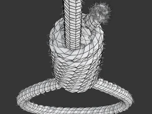 Noose 3D Model
