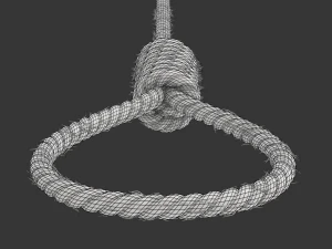 Noose 3D Model