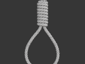Noose 3D-Modell