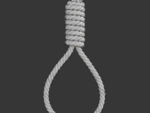 Noose 3D Model