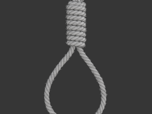 Noose 3D-Modell