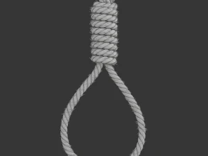Noose 3D Model