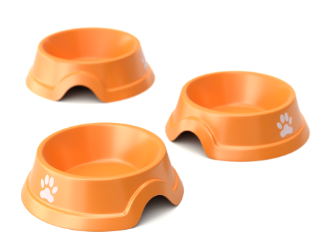 Metal and Plastic Dog Bowl Modèle 3D