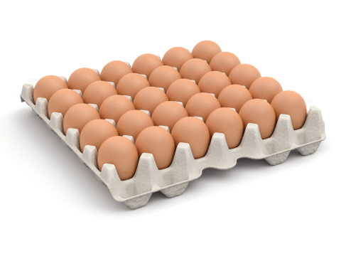 Eggs in a carton package 3D Model
