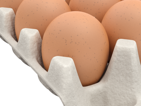 Eggs in a carton package 3D मॉडल