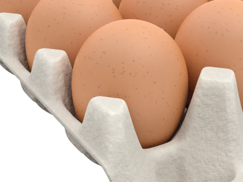 Eggs in a carton package 3D Model