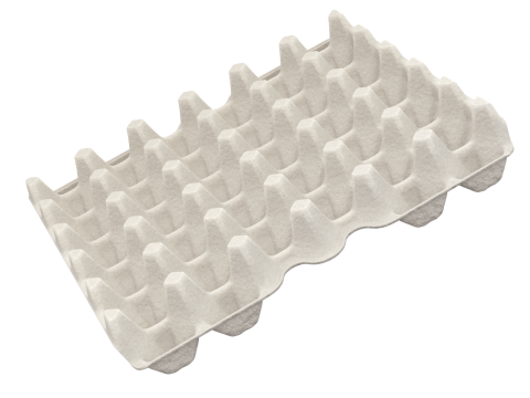 Eggs in a carton package 3D मॉडल