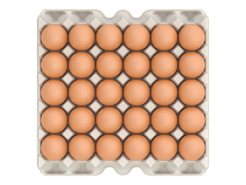 Eggs in a carton package 3D मॉडल