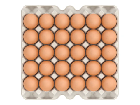 Eggs in a carton package 3D Model
