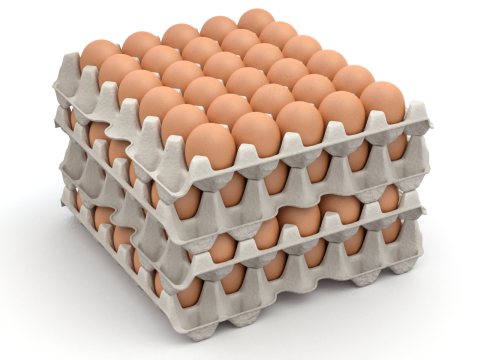 Eggs in a carton package 3D मॉडल
