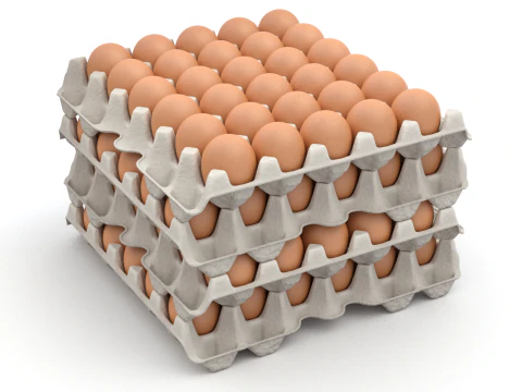 Eggs in a carton package 3D Model