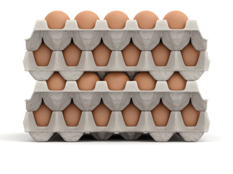 Eggs in a carton package 3D मॉडल