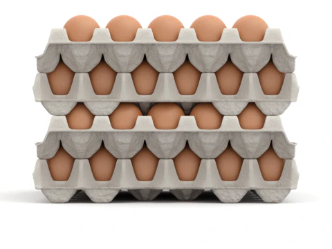 Eggs in a carton package 3D Model