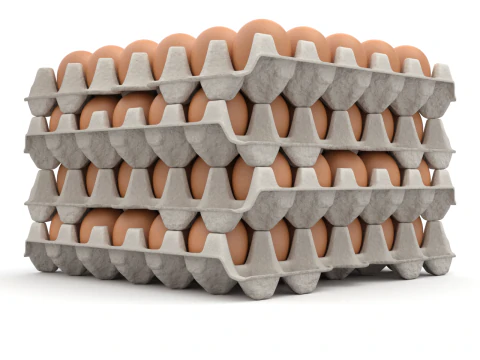 Eggs in a carton package 3D Model