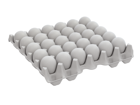 Eggs in a carton package 3D मॉडल