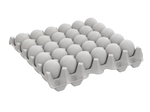Eggs in a carton package 3D Model