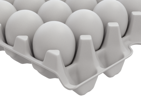 Eggs in a carton package 3D मॉडल