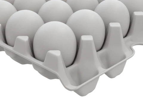 Eggs in a carton package 3D Model