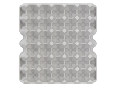 Eggs in a carton package 3D Model
