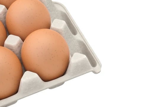 Eggs in a carton package 3D Model