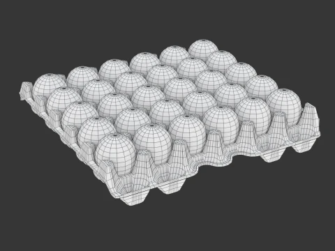 Eggs in a carton package 3D Model
