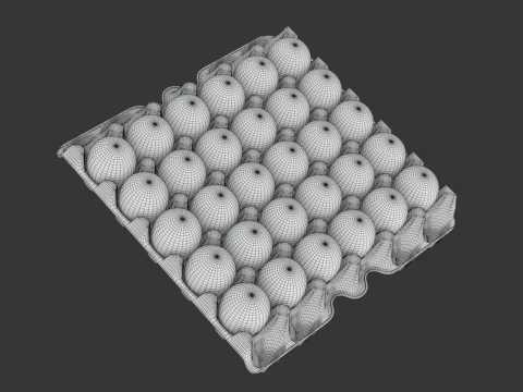 Eggs in a carton package 3D Model