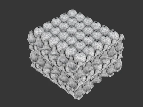 Eggs in a carton package 3D Model