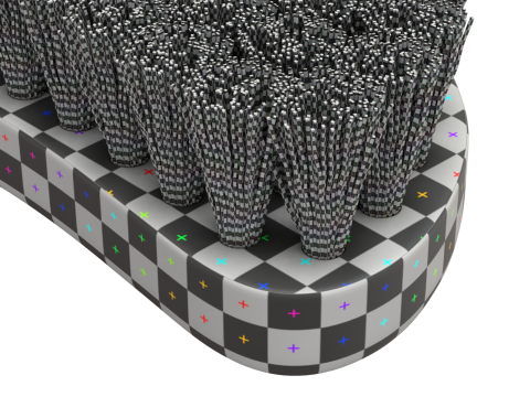 Wooden Scrub Brush Modèle 3D